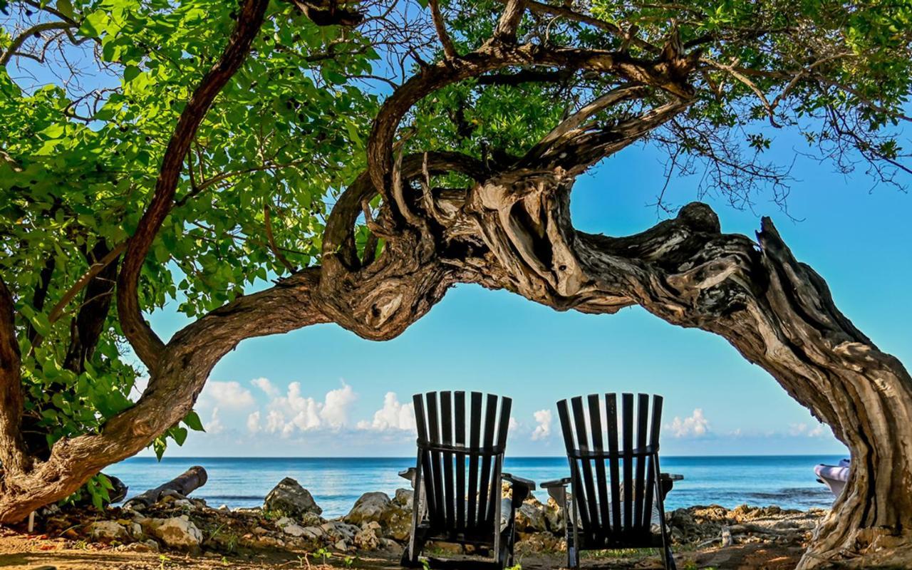 Jakes Hotel Treasure Beach Extérieur photo