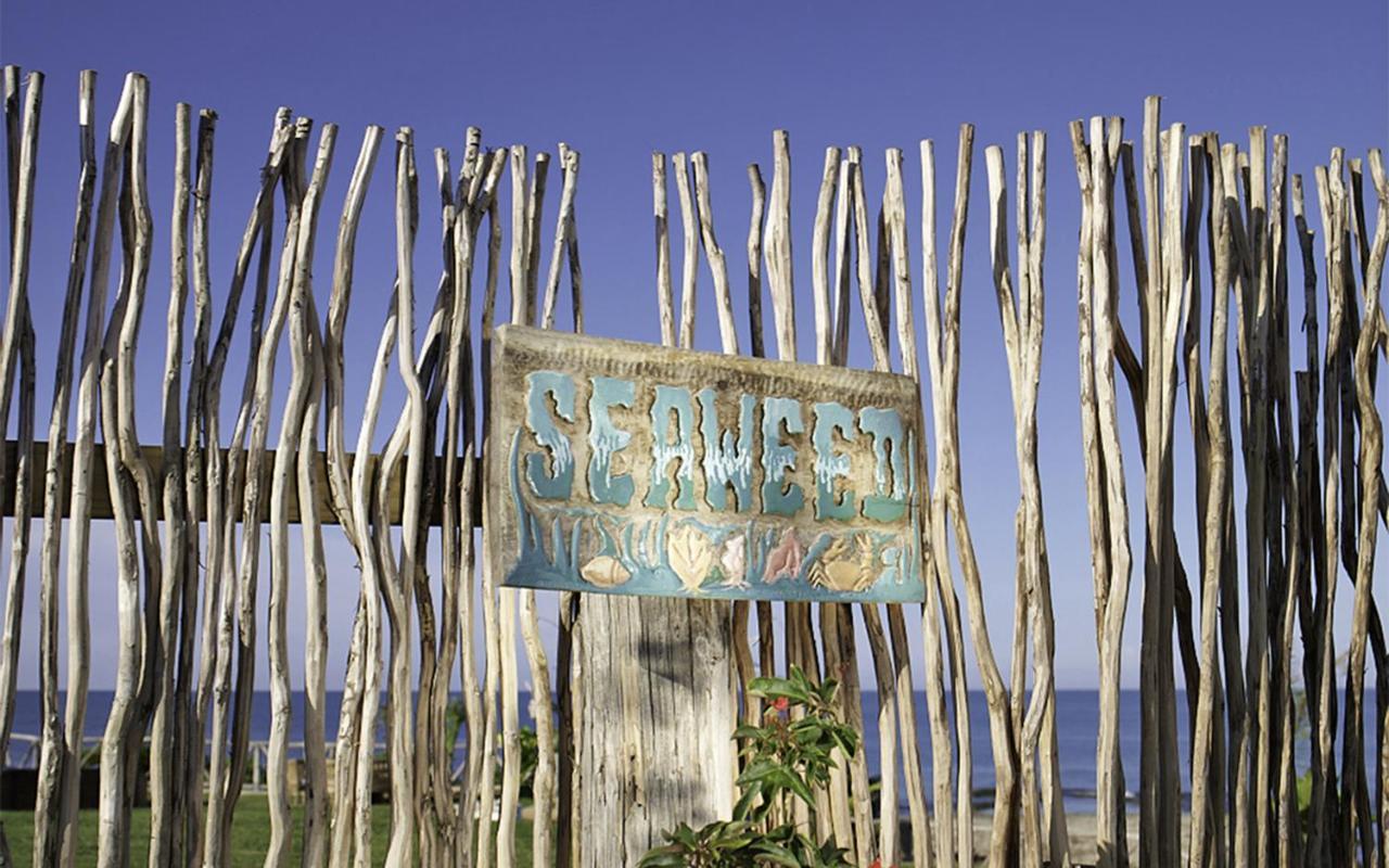 Jakes Hotel Treasure Beach Extérieur photo